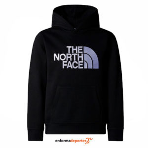 Sudadera junior THE NORTH FACE PEAK HOODIE