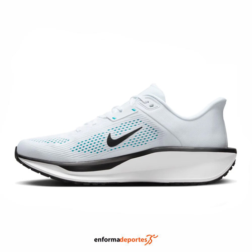 Zapatilla hombre Nike Quest 6