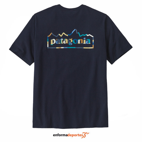 CAmiseta hombre PATAGONIA UNITY FITZ